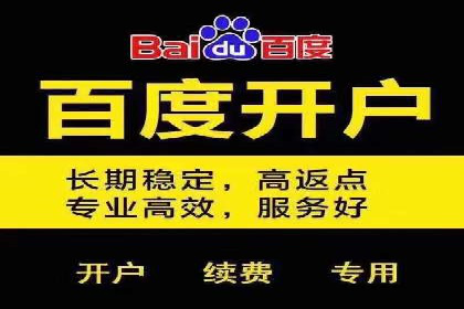 百度竞价排名：案例告诉你如何抢占市场先机
